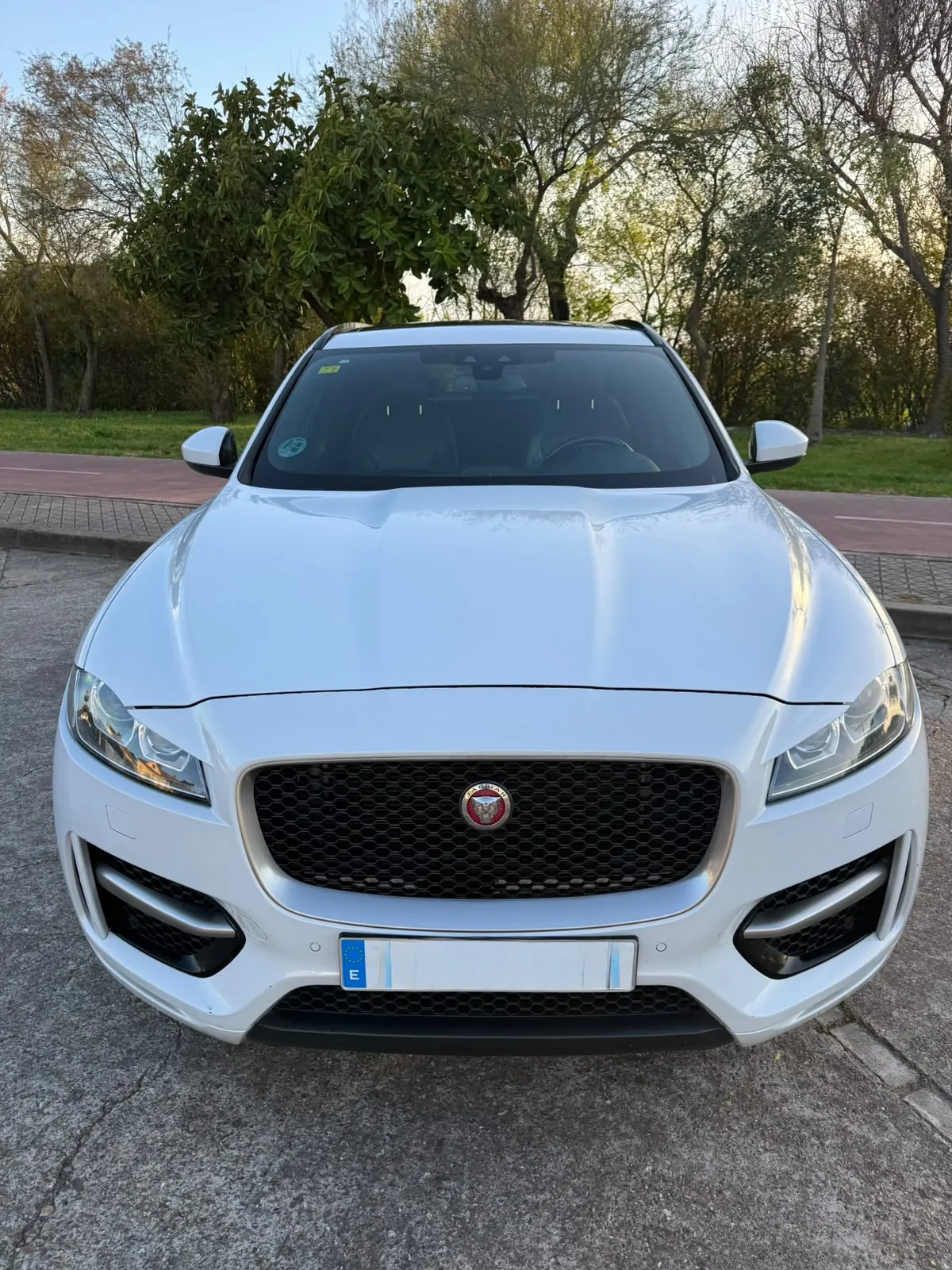 Jaguar F Pace F-PACE 2.0 i4D 120 kW (163 CV) RWD Portfolio 2