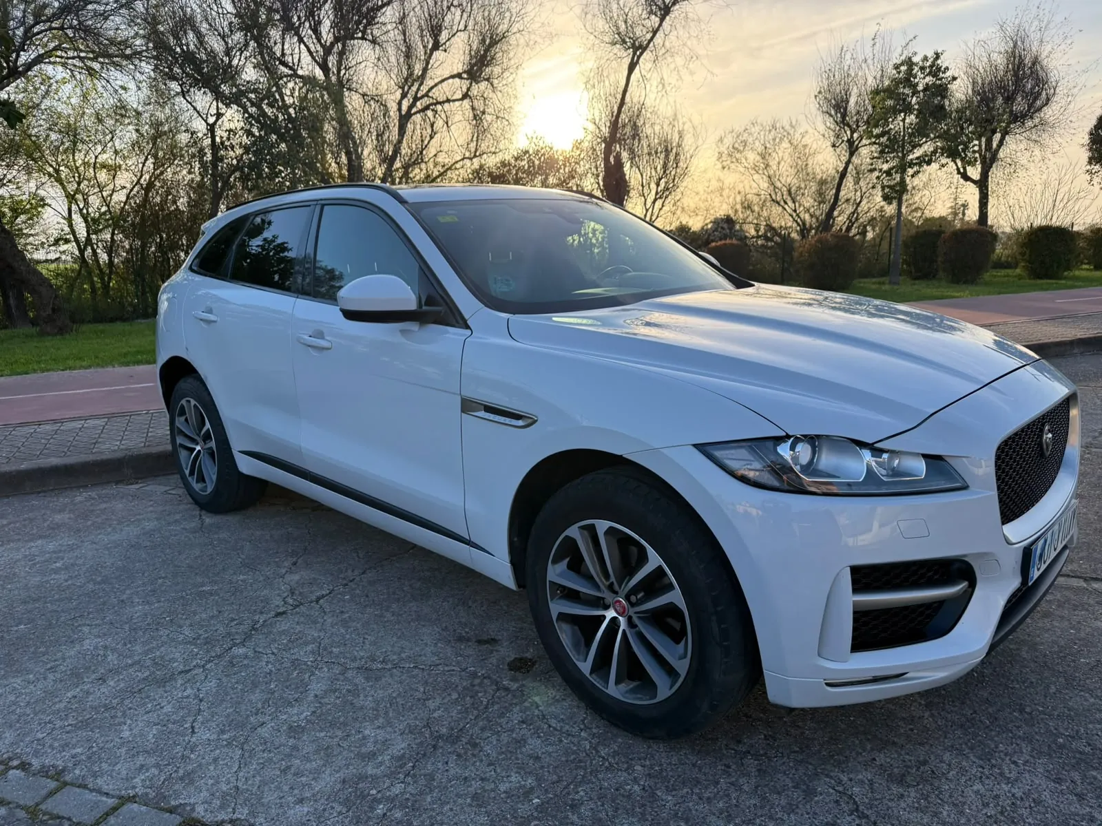 Jaguar F Pace F-PACE 2.0 i4D 120 kW (163 CV) RWD Portfolio 3